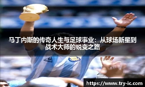 im电竞官网