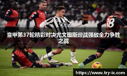 im电竞官网